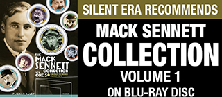 Mack Sennett Collection Vol1 BVD